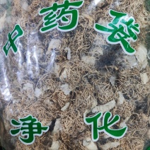 葱根干货葱根中药材欢迎选购！