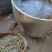 油炸麦穗鱼批发456公分裹粉油炸麦穗鱼干无盐麦穗鱼干
