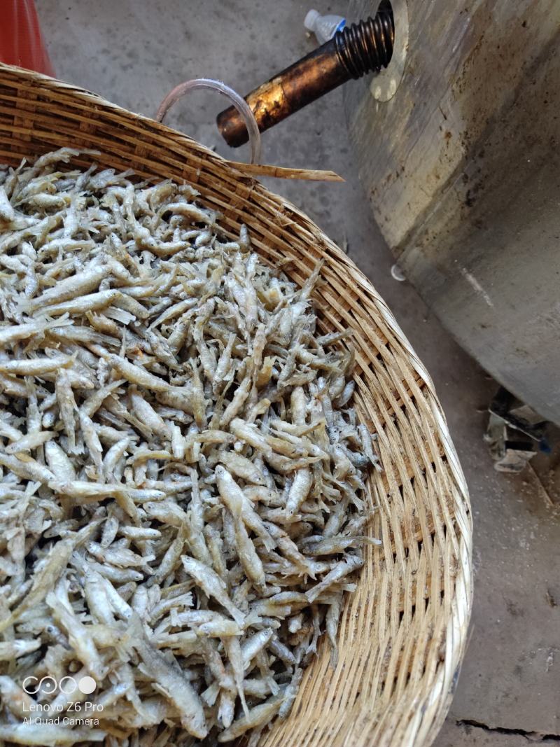油炸麦穗鱼批发456公分裹粉油炸麦穗鱼干无盐麦穗鱼干