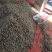 油炸麦穗鱼批发456公分裹粉油炸麦穗鱼干无盐麦穗鱼干