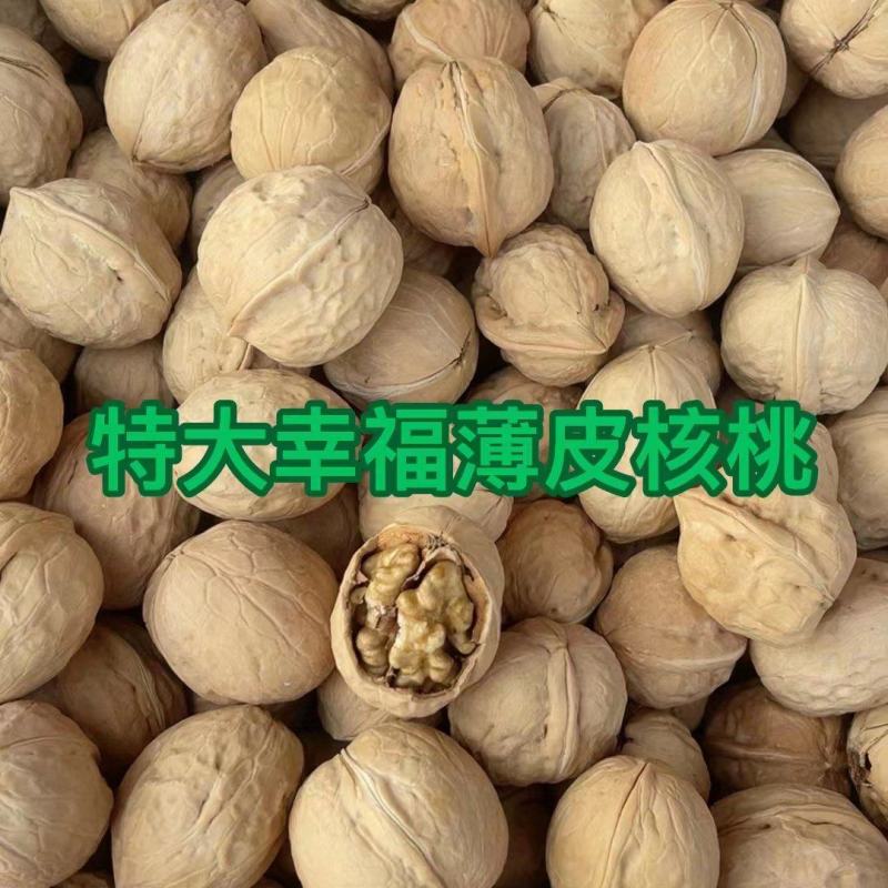 新疆核桃2024年新疆薄皮核桃地摊展会非常火爆