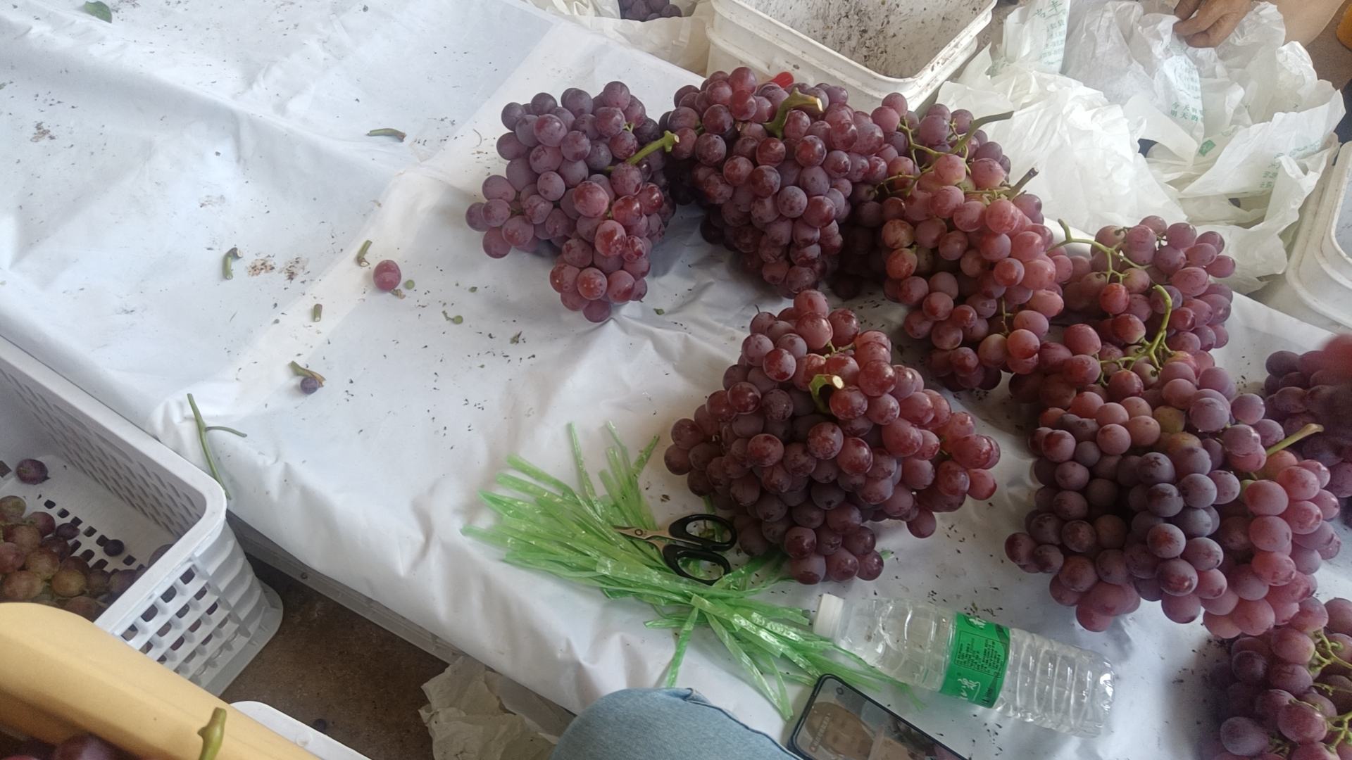 红提与健康饮食搭配展示图 一篮新鲜红提,旁边摆放着水果刀和餐盘,营造出健康饮食的氛围