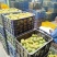 绿色食品罗汉果生鲜果
