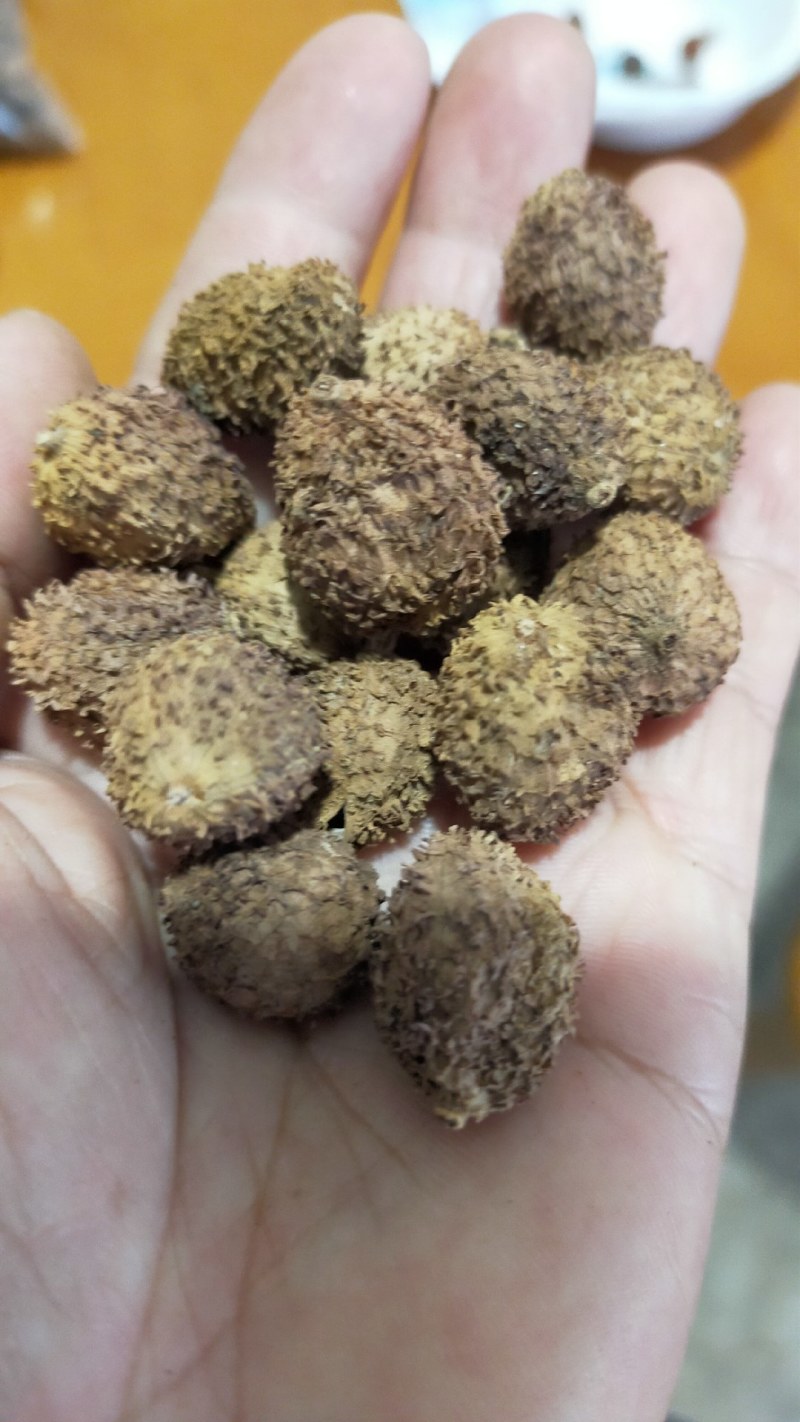 云南河口新鲜阳春沙仁，，无硫磺烘干，可按照客户要求加工。