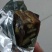 红枣夹核桃