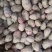 邯郸土豆大量出货产地直接发货品新鲜充足