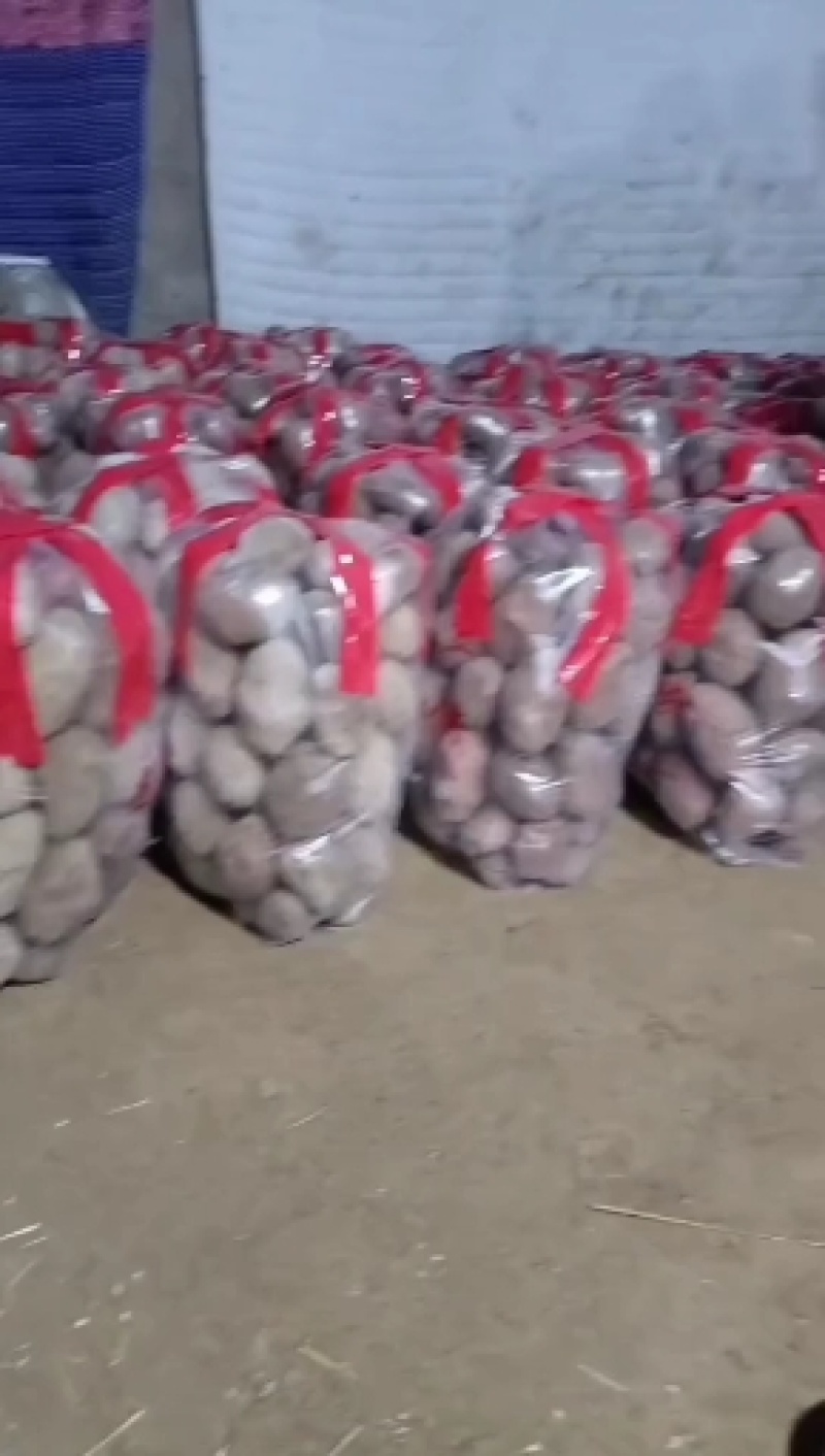 邯郸土豆大量出货产地直接发货品新鲜充足
