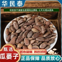 瓜蒌子中药材新货生瓜蒌籽500g正品天柱山炙瓜娄仁