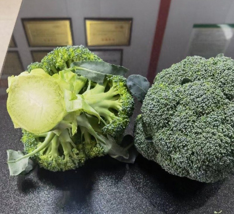 邯郸西蓝花一手货源各种规格都有新鲜货