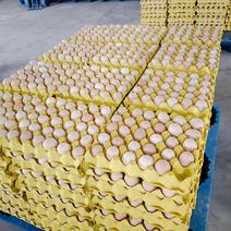 柴鸡蛋农三双色，精品土鸡蛋大量走货。厂家直供长期合作