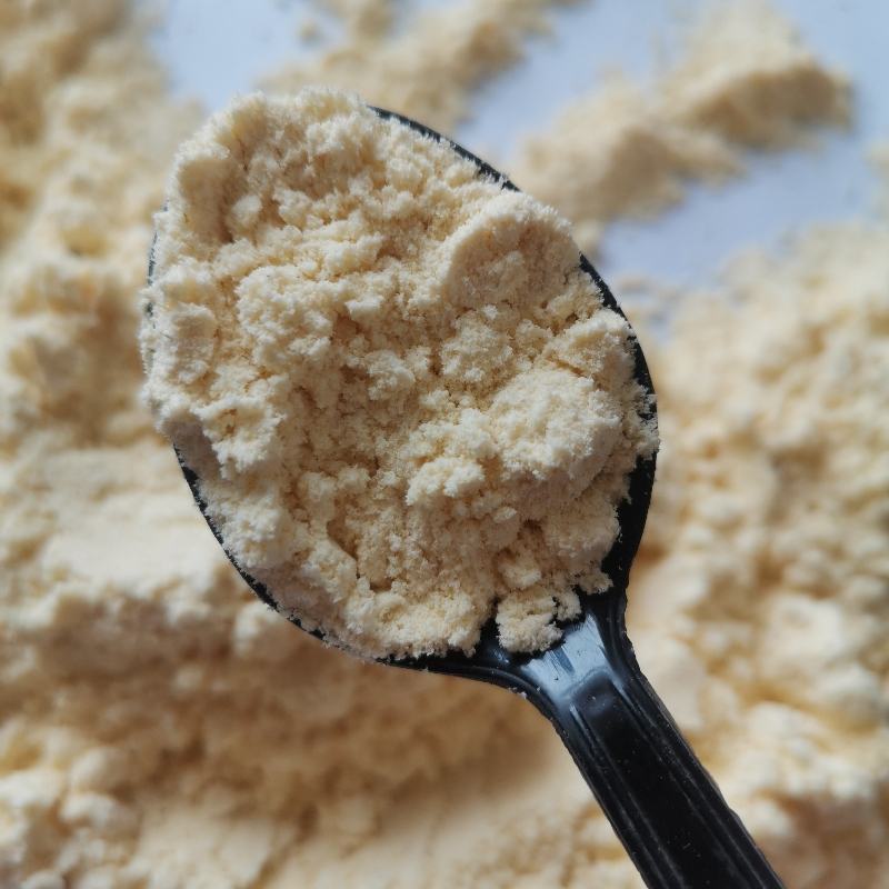 厂家供应玉米粉玉米面畜牧水产养殖用饲料级玉米蛋白粉