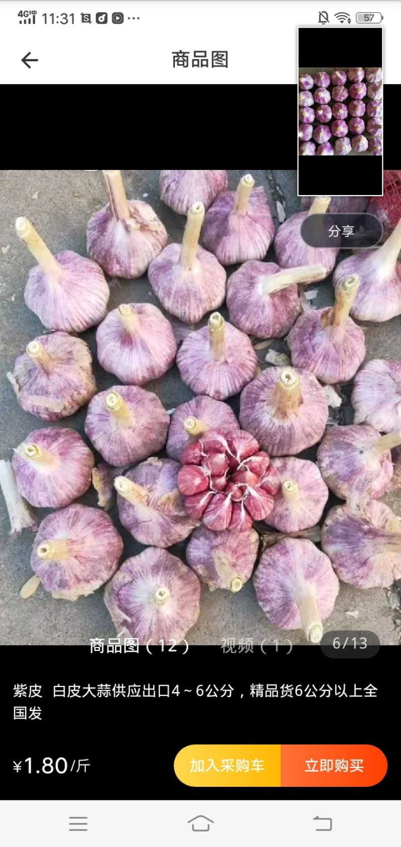 专业做大蒜价格低货品可以视频看货