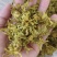 石斛花正宗精选野外铁皮石斛干花泡茶中药应季枫斗花茶