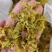 石斛花正宗精选野外铁皮石斛干花泡茶中药应季枫斗花茶