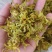 石斛花正宗精选野外铁皮石斛干花泡茶中药应季枫斗花茶