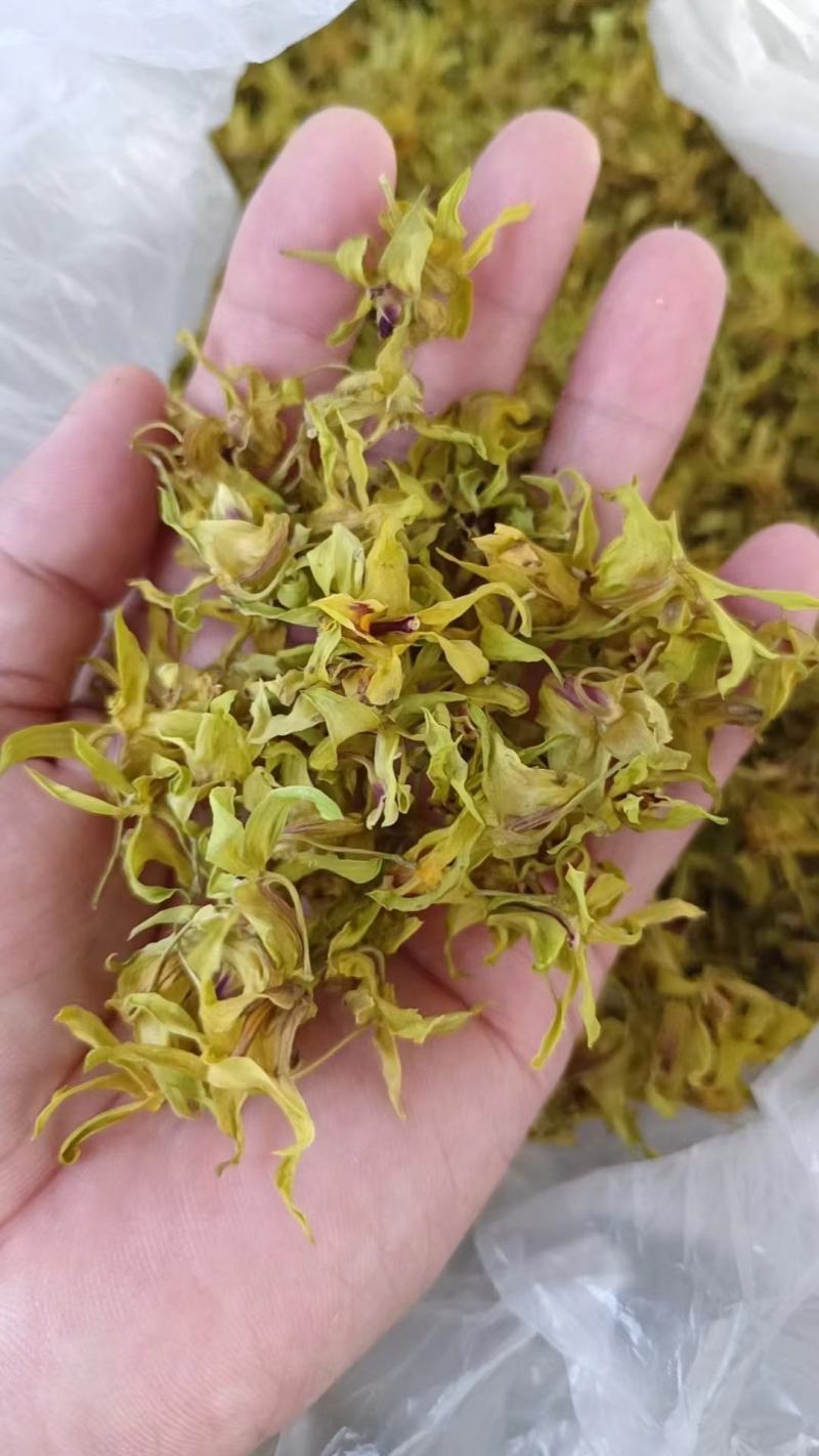 石斛花正宗精选野外铁皮石斛干花泡茶中药应季枫斗花茶