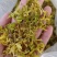 石斛花正宗精选野外铁皮石斛干花泡茶中药应季枫斗花茶