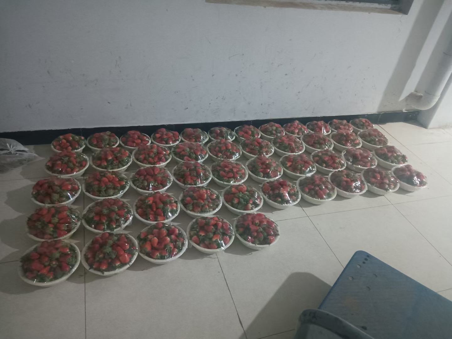 精致的奶油草莓摆放在白色瓷盘中,配有糖粉和薄荷叶点缀,背景为现代风格的餐厅环境 奶油草莓摆盘展示