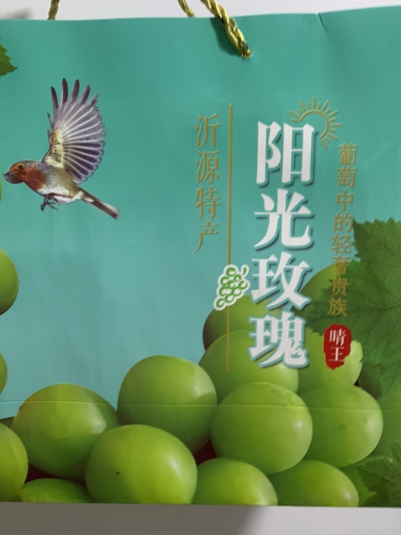 百余亩阳光玫瑰大颗粒脆甜瀑汁清香