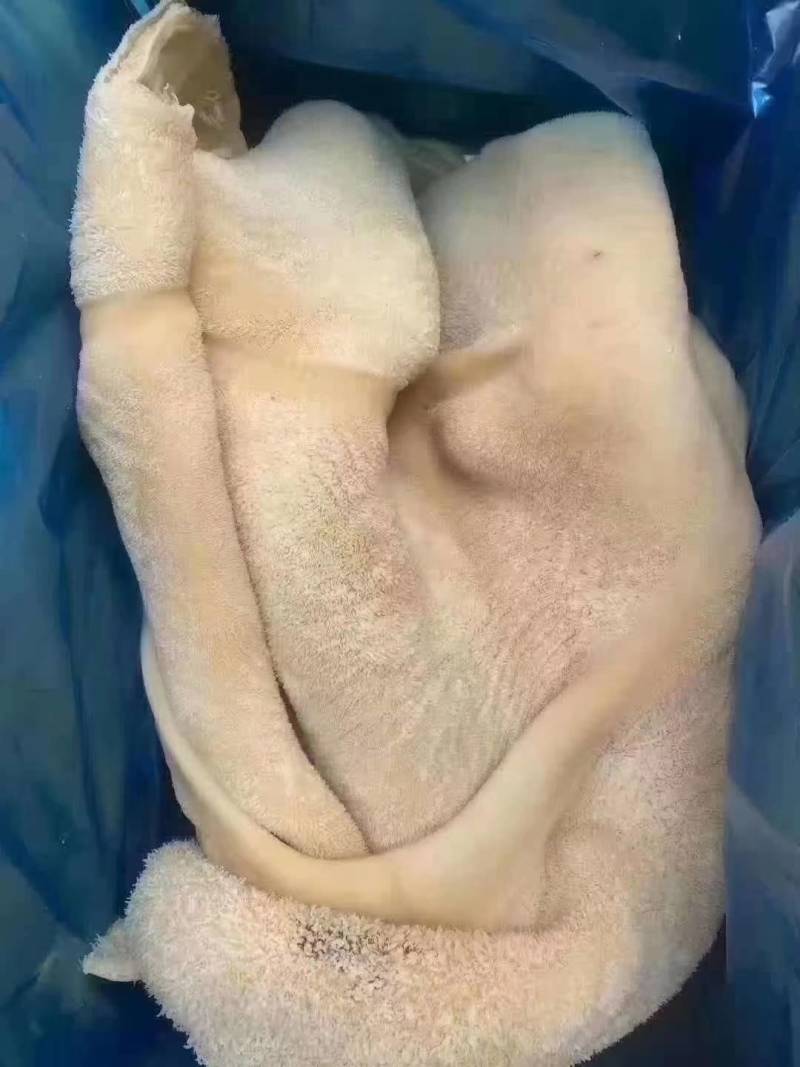 熟牛肚