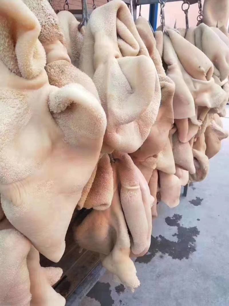 熟牛肚