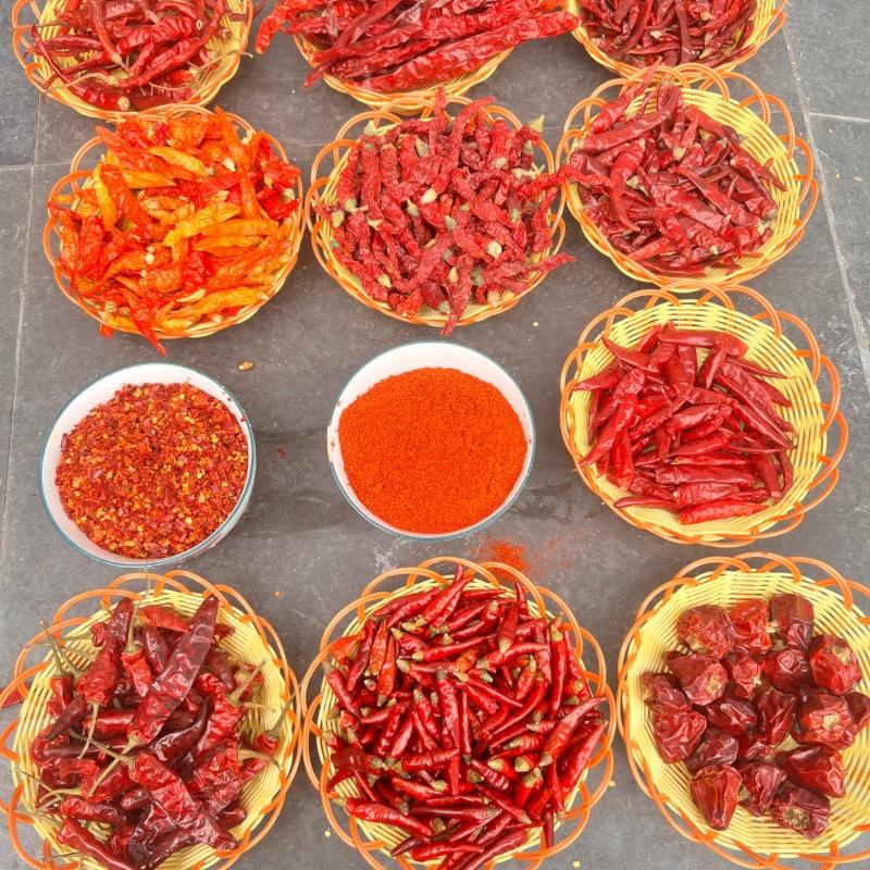 干辣椒，线椒、二荆条、北京红，灯笼椒、黄干椒、魔鬼椒、满品种