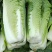 大白菜