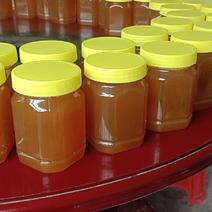 自家养的，纯正土蜂蜜，无添加，质量保证