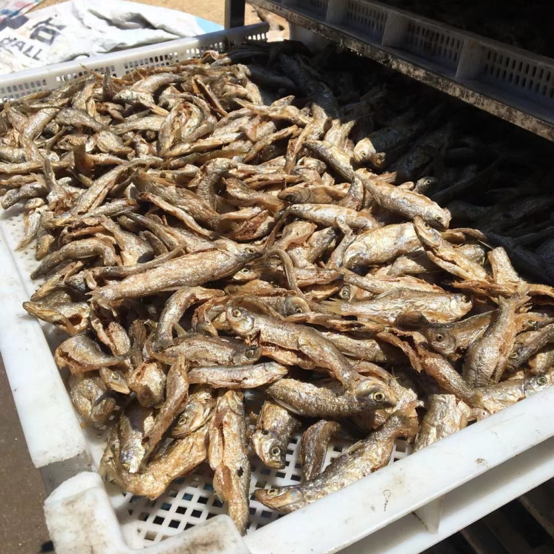 油炸小鱼干淡水湖鱼开肚油炸白条鱼餐条鱼不苦鱼干手工破肚