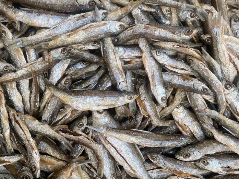 油炸小鱼干淡水湖鱼开肚油炸白条鱼餐条鱼不苦鱼干手工破肚