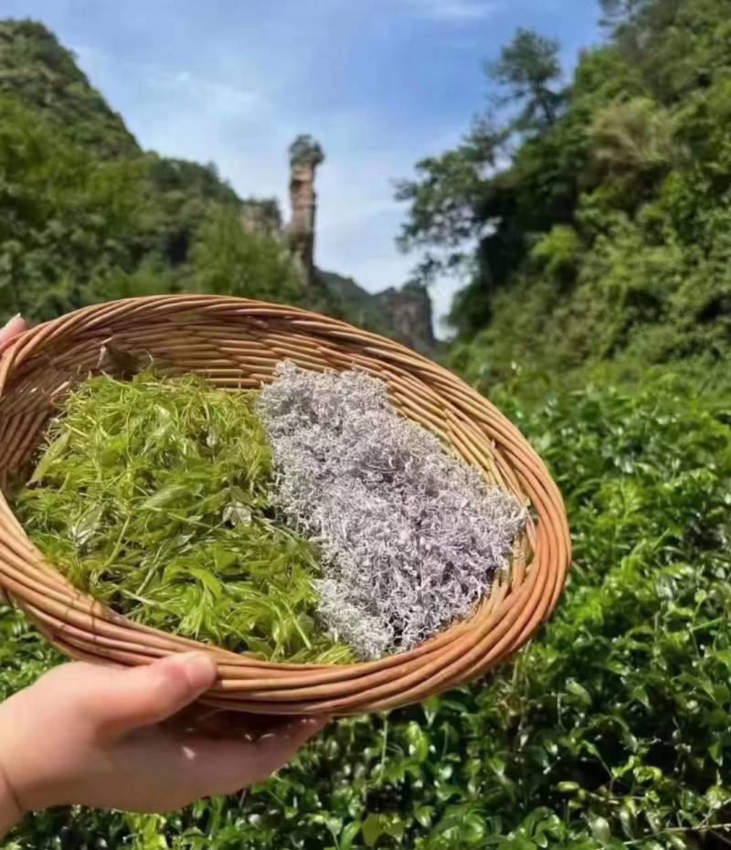 张家界莓茶