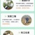 29%石硫合剂果树清园剂涂白剂红蜘蛛螨虫白粉病蚧壳虫