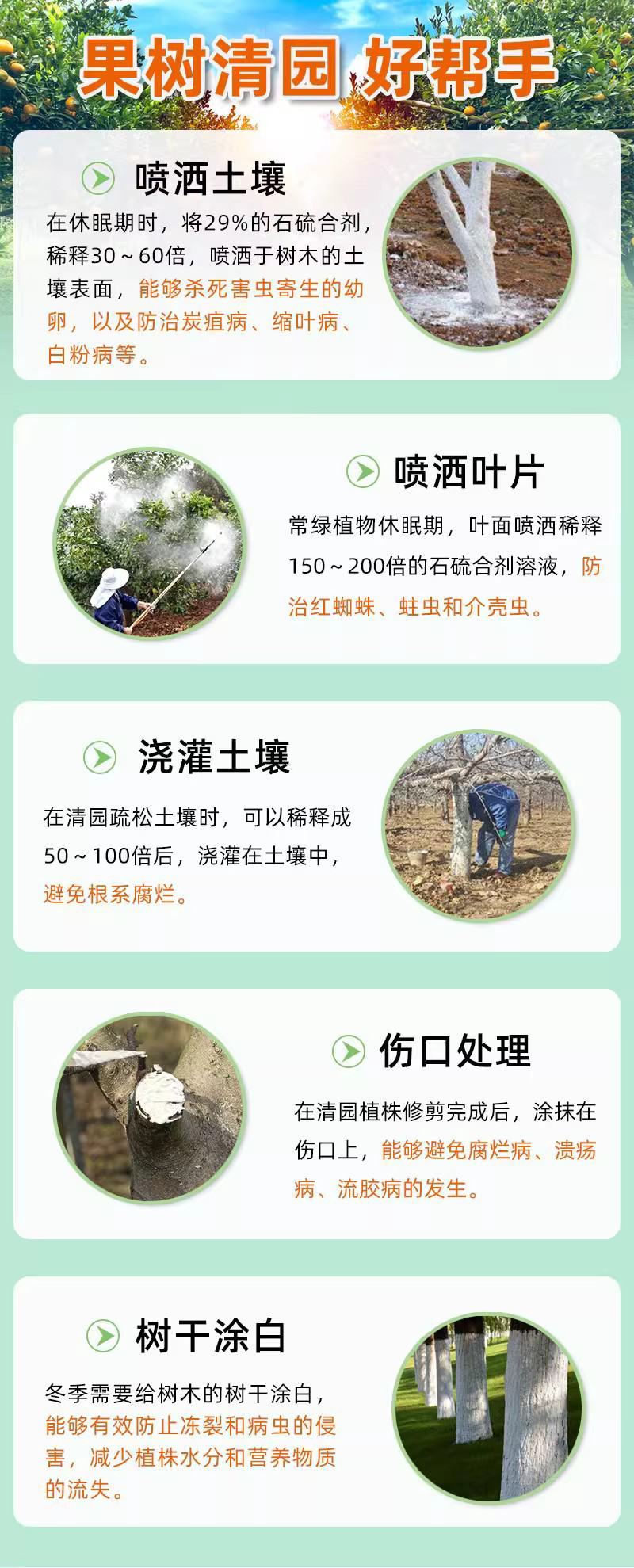 29%石硫合剂果树清园剂涂白剂红蜘蛛螨虫白粉病蚧壳虫