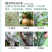 29%石硫合剂果树清园剂涂白剂红蜘蛛螨虫白粉病蚧壳虫