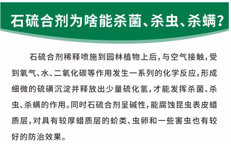 29%石硫合剂果树清园剂涂白剂红蜘蛛螨虫白粉病蚧壳虫