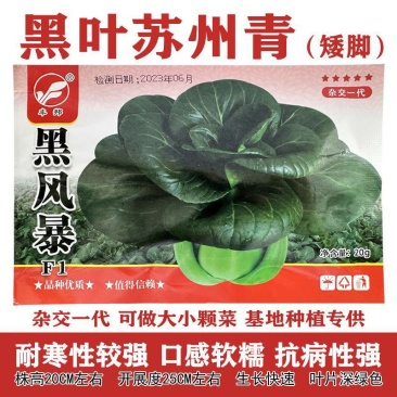 正宗矮脚黑叶苏州青种子矮脚黑大头油亮青帮四季耐寒上海青菜