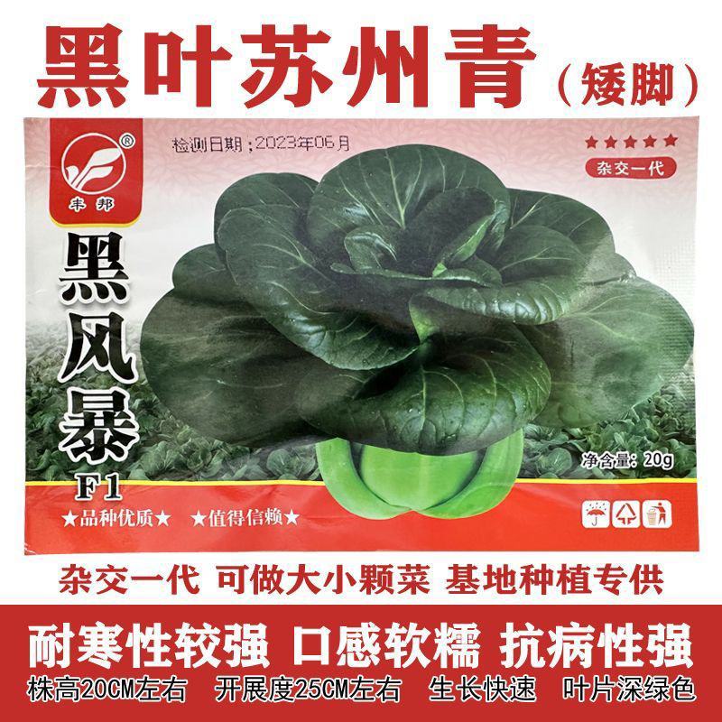 正宗矮脚黑叶苏州青种子矮脚黑大头油亮青帮四季耐寒上海青菜