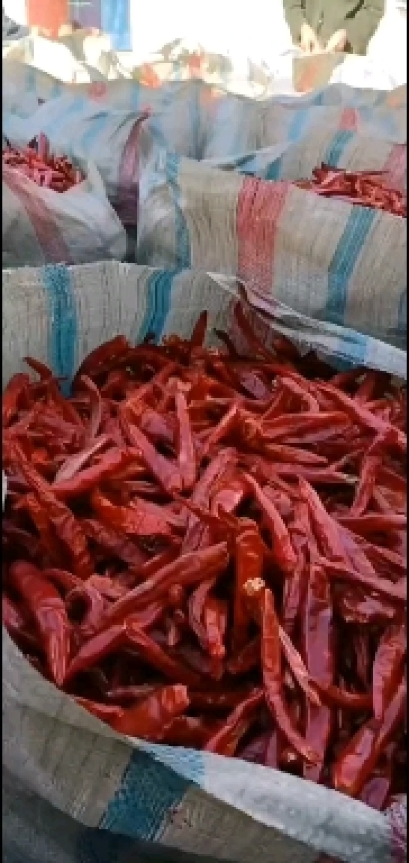 山西应县北京红干辣椒，（六寸红）干辣椒，产地直供量大质优