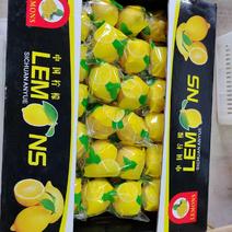 【柠檬】精品尤克力柠檬大量供应一手货源可供商超批发市场