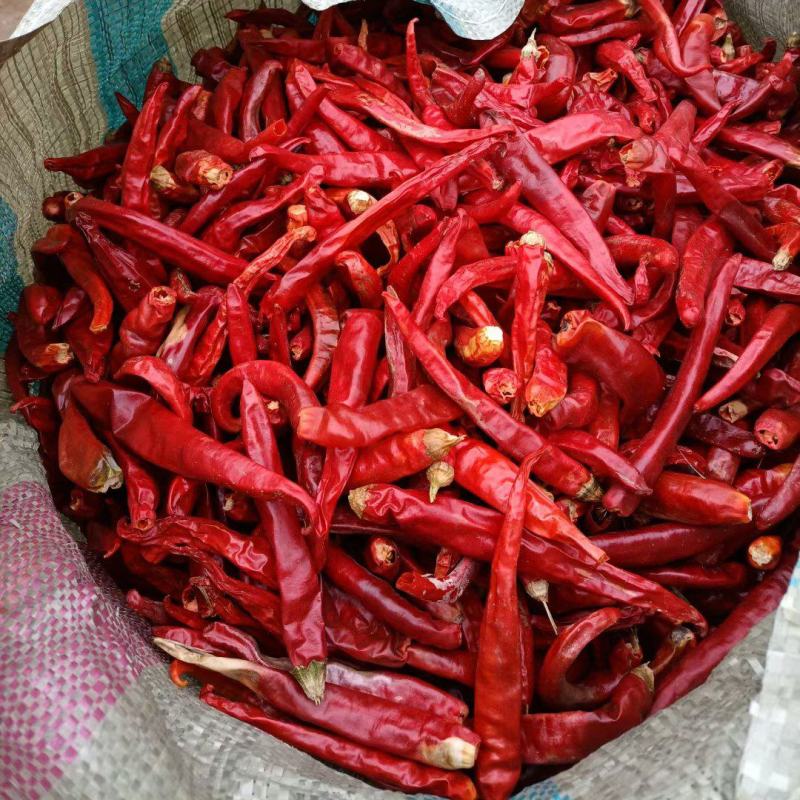 山西应县北京红干辣椒，（六寸红）干辣椒，产地直供量大质优