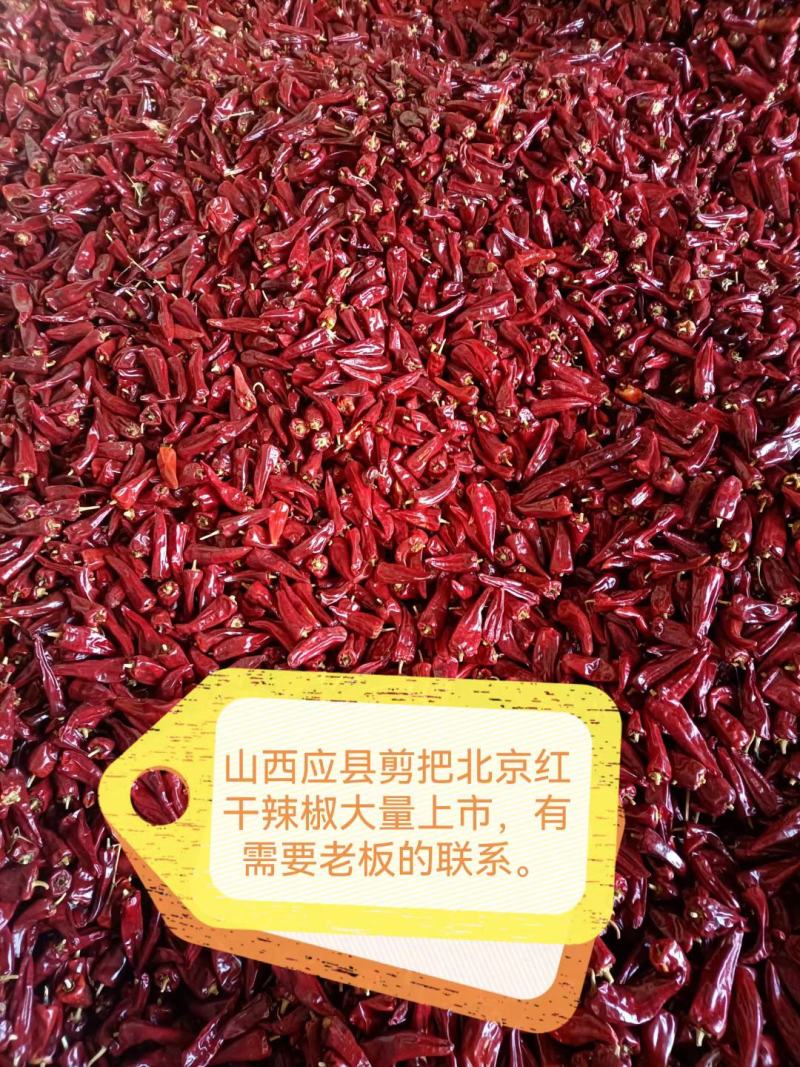 山西应县剪把北京红干辣椒大量上市，颜色好，质量高。
