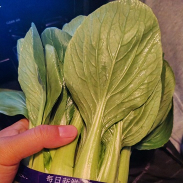 精品上海青精品精品