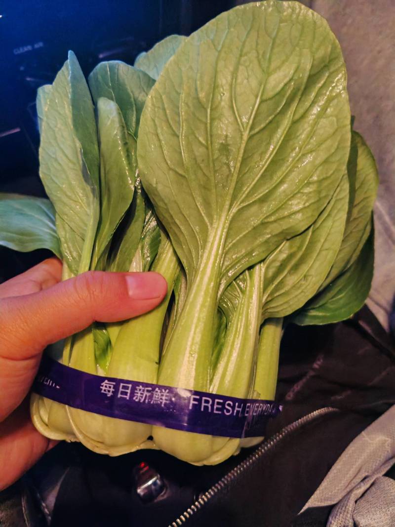 精品上海青精品精品