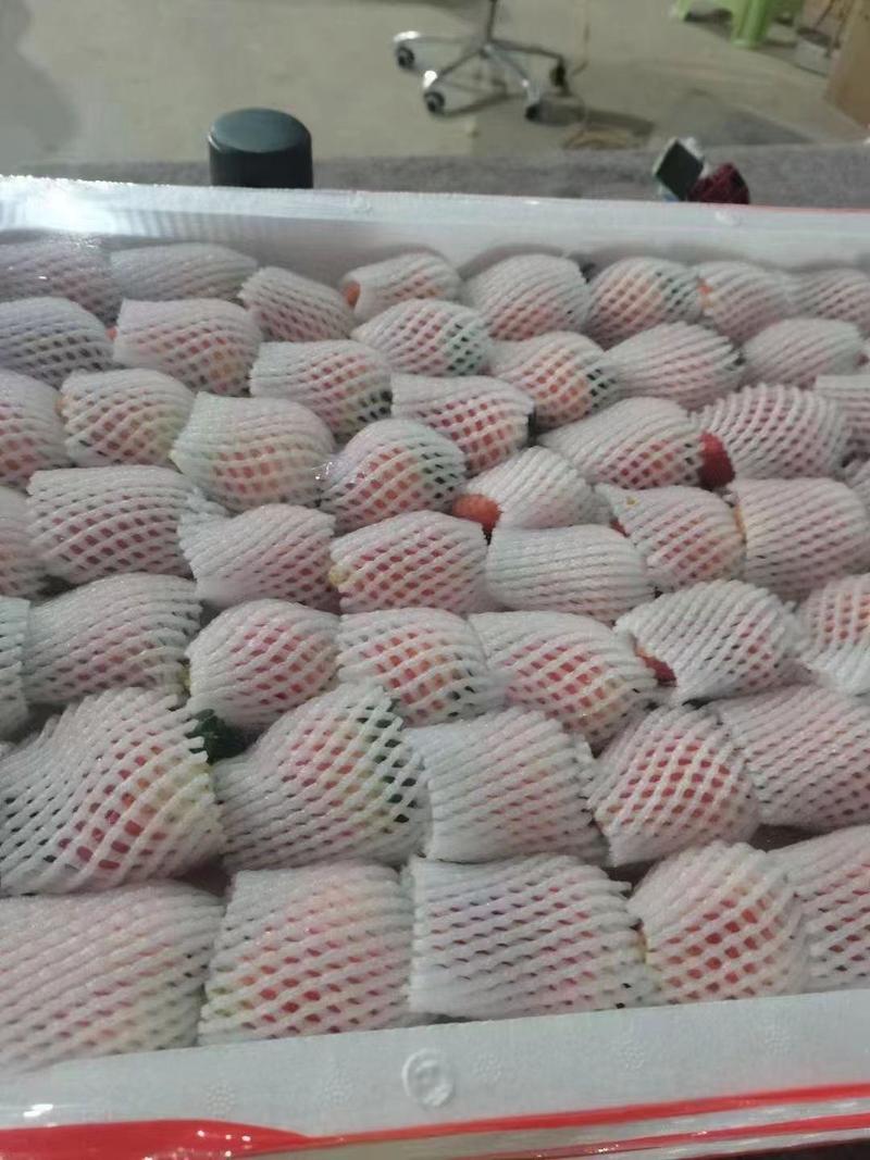 江苏徐州宁玉草莓大量上市产地直发新鲜采摘对接全国客商