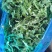 荠菜野生荠菜货源充足量大优惠