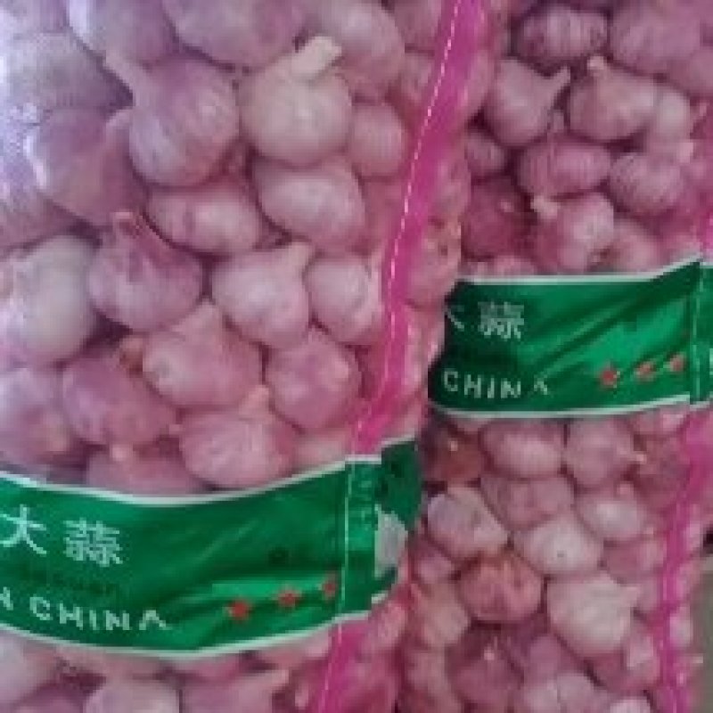 山东济宁混装紫皮蒜大蒜把子蒜个头大四六瓣供各种包装全国接单