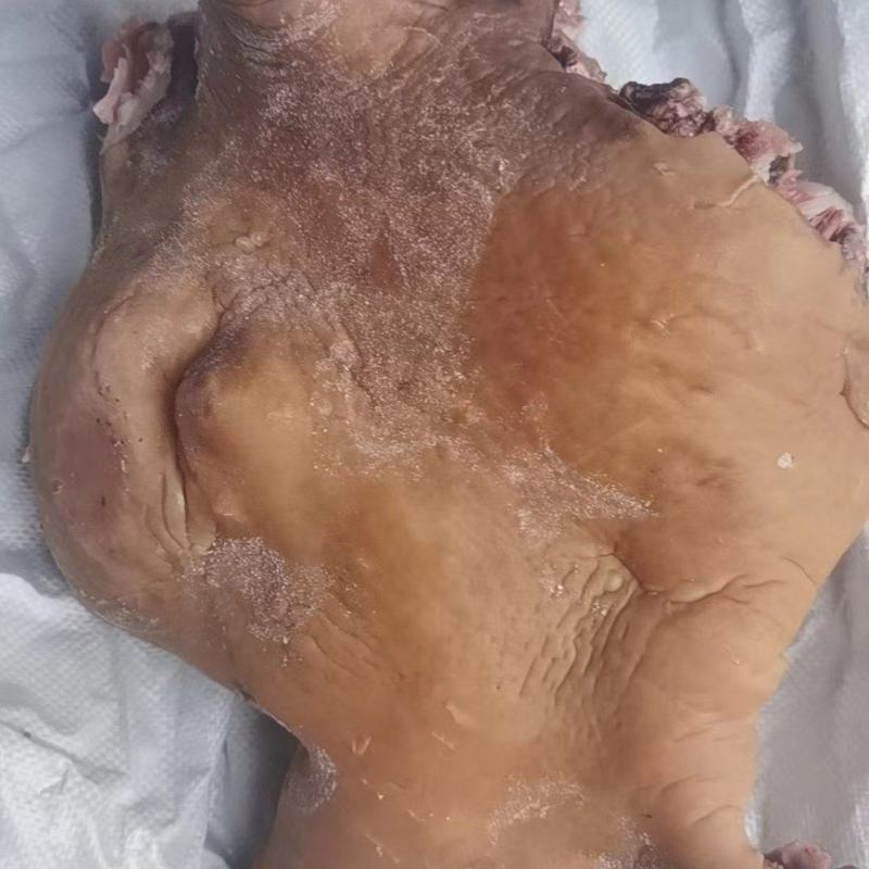 熟牛头肉