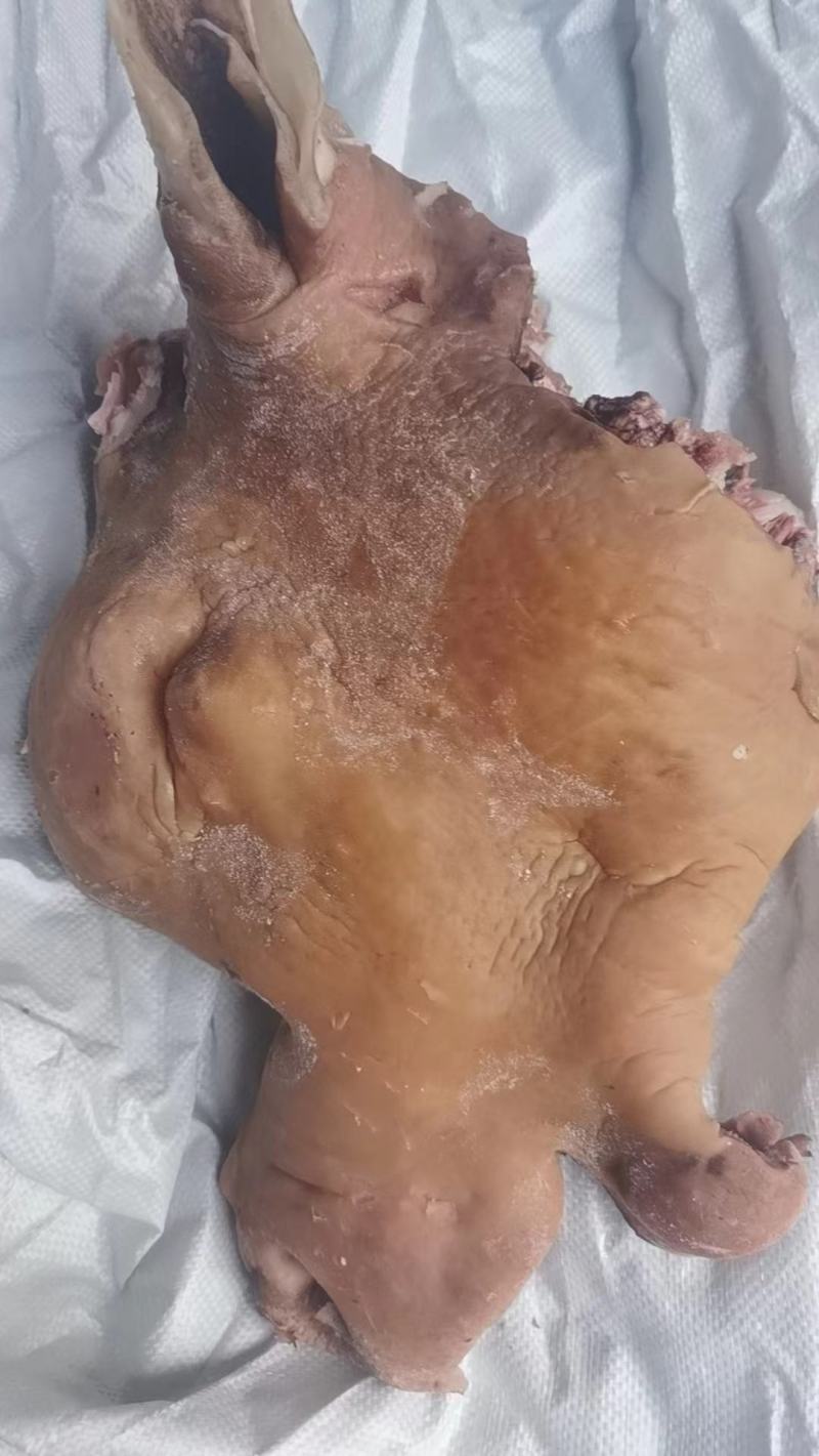 熟牛头肉