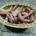野生红菇脚烤干货红腿去泥脚黄焖鸡米饭红烧汤头甜口感好