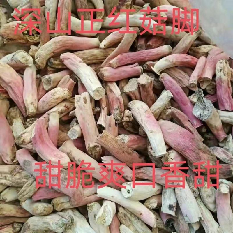 野生红菇脚烤干货红腿去泥脚黄焖鸡米饭红烧汤头甜口感好